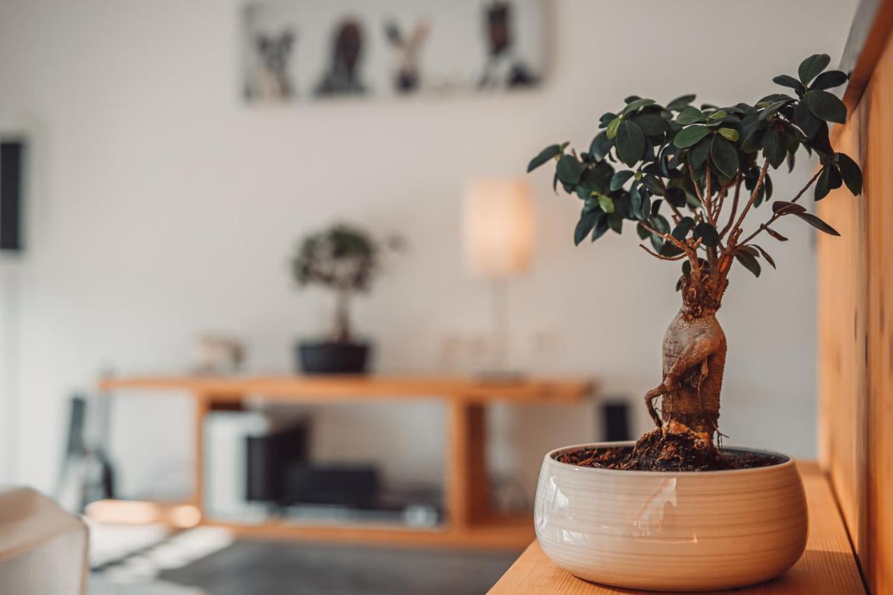 Eco Boutique Hotel Ams Beagle Bled Eksteriør billede
